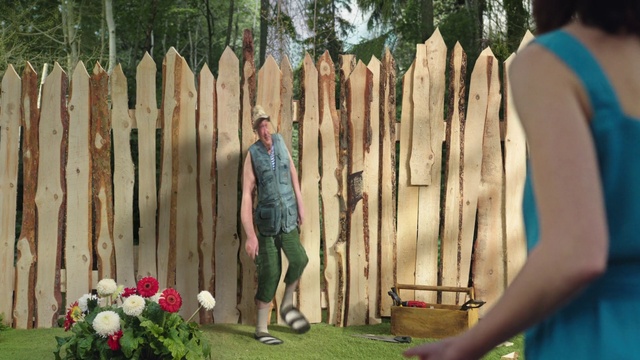 Video Reference N1: Plant, Flower, Botany, Wood, Fence, Tree, Grass, People in nature, Shorts, Home fencing