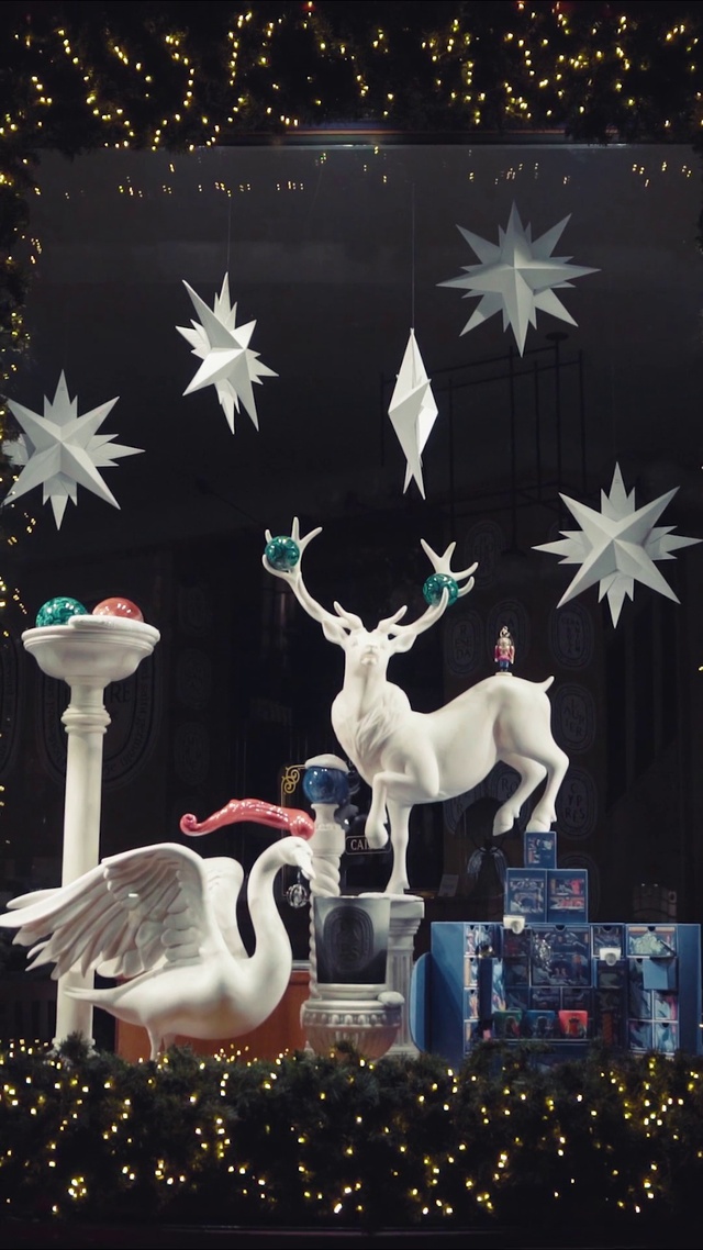 Video Reference N0: Bird, Christmas ornament, Light, Deer, Elk, Art, Fawn, Reindeer, Christmas decoration, Ornament