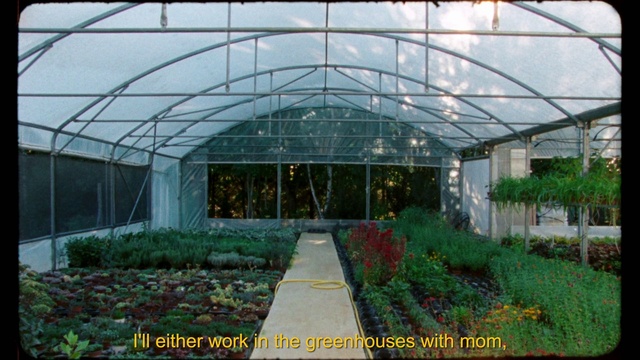 Video Reference N2: Plant, Building, Greenhouse, Window, Shade, Architecture, Fixture, Biome, Grass, Terrestrial plant