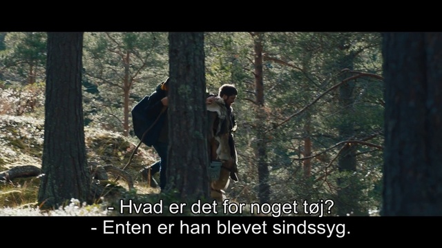 Video Reference N18: Plant, People in nature, Tree, Coat, Wood, Terrestrial plant, Trunk, Gesture, Natural landscape, Hat