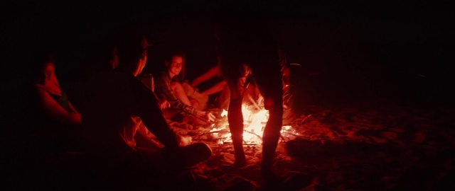 Video Reference N2: Bonfire, Fire, Flame, Campfire, Heat, Gas, Landscape, Event, Darkness, Fun