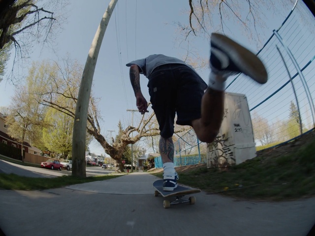 Video Reference N6: Sky, Sports equipment, White, Plant, Tree, Skateboarder, Wheel, Rolling, Skateboard, Skateboarding Equipment