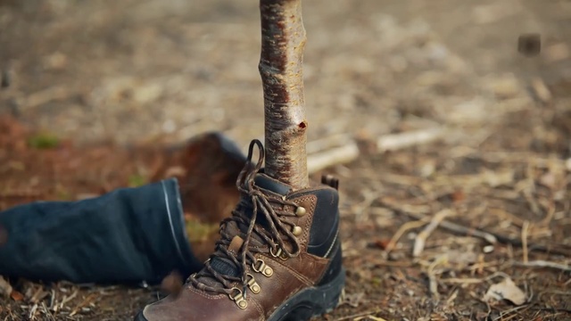 Video Reference N3: Footwear, Shoe, Plant, Wood, Work boots, Grass, Trunk, Hiking boot, Outdoor shoe, Window