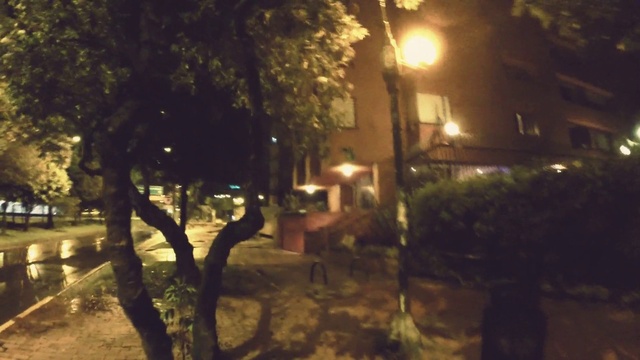 Video Reference N18: Plant, Branch, Tree, Building, Road surface, Sky, Street light, Tints and shades, Grass, Midnight