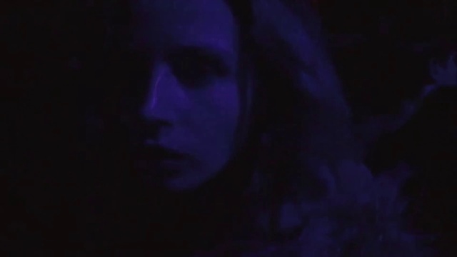 Video Reference N8: Flash photography, Purple, Eyelash, Violet, Plant, Electric blue, Midnight, Magenta, Darkness, Forest