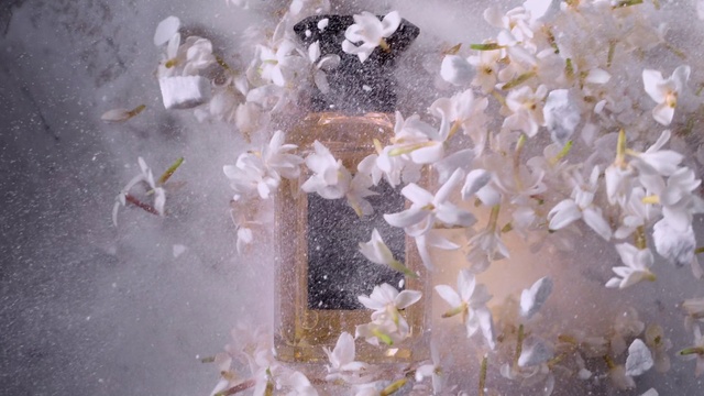 Video Reference N3: Vertebrate, Organism, Twig, Window, Freezing, Petal, Glass, Transparent material, Wood, Fashion accessory