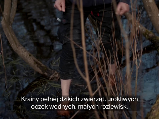 Video Reference N10: Shorts, Branch, Twig, Wood, Organism, Plant, Terrestrial plant, Grass, Thigh, Adaptation