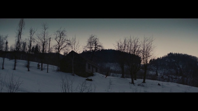 Video Reference N2: Sky, Atmosphere, Plant, Snow, Cloud, Natural landscape, Mountain, Slope, Tree, Dusk