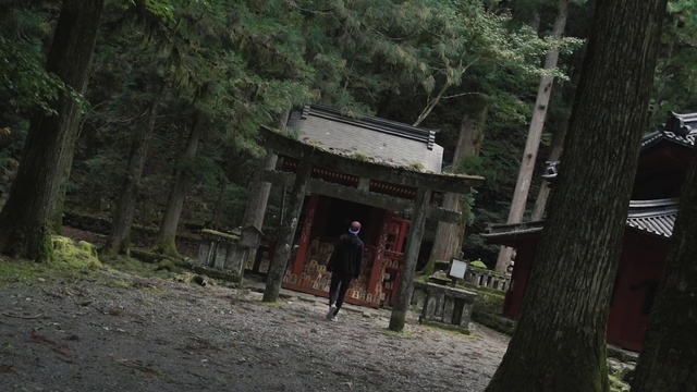 Video Reference N2: Plant, Tree, Wood, Torii, Temple, Leisure, Forest, Chinese architecture, Japanese architecture, Trunk