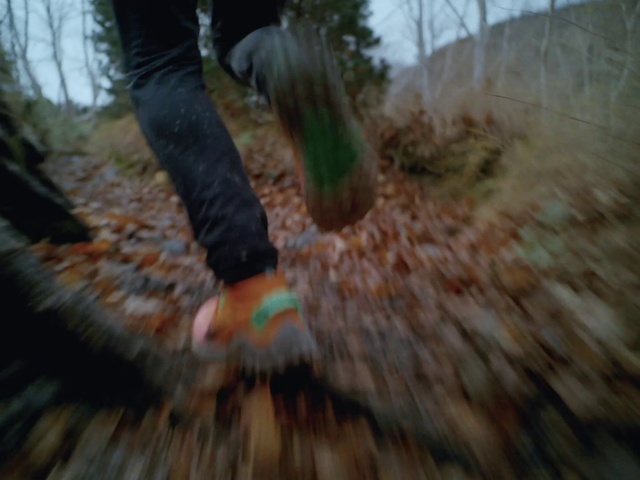 Video Reference N5: Shoe, Plant, Leg, People in nature, Wood, Grass, Tree, Trunk, Thigh, Human leg
