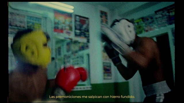 Video Reference N4: Organism, Gesture, Boxing glove, Toy, Boxing, Striking combat sports, Boxing equipment, Font, Natural foods, Professional boxer