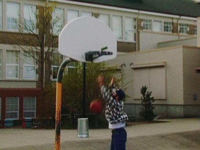 Video Reference N2: Basketball, Window, Streetball, Basketball hoop, Building, Plant, Tree, Ball, Leisure, Art