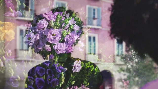 Video Reference N1: Flower, Plant, Window, Building, Purple, Petal, Flowerpot, Violet, Houseplant, Pink