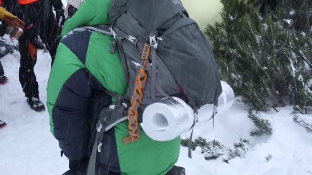 Video Reference N1: Snow, Glove, Plant, Freezing, Geological phenomenon, Personal protective equipment, Recreation, Bag, Winter, Windbreaker