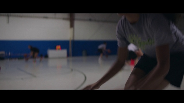 Video Reference N1: Vertebrate, Mammal, Floor, Flooring, Recreation, Sports, Indoor games and sports, Tints and shades, Leisure, Player