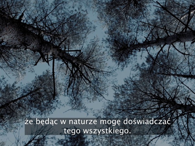 Video Reference N3: Sky, Nature, World, Natural landscape, Twig, Trunk, Biome, Atmospheric phenomenon, Tree, Wood