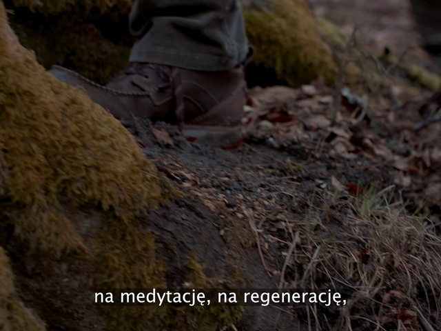 Video Reference N4: Wood, Bedrock, Grass, Hat, Plant, Soil, Landscape, Human leg, Rock, Sun hat