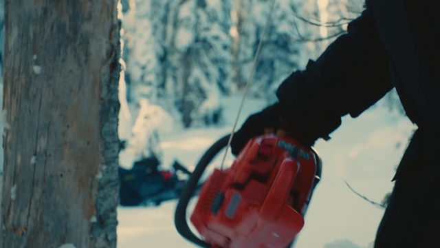 Video Reference N3: Automotive lighting, Bag, Wood, Plant, Motor vehicle, Eyewear, Automotive mirror, Snow, Freezing, Sunglasses