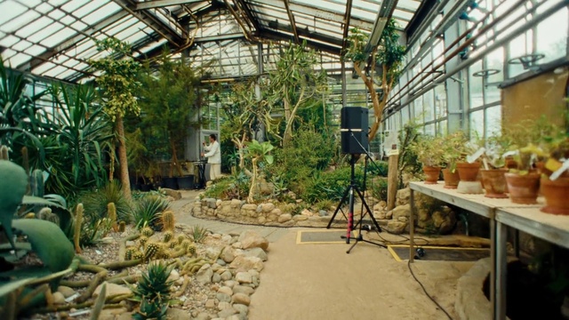 Video Reference N5: Plant, Building, Botany, Architecture, Greenhouse, Wood, Terrestrial plant, Houseplant, Shade, Window