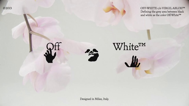 Video Reference N1: White, Petal, Flower, Font, Happy, Jewellery, Magenta, Flowering plant, Fashion accessory, Brand