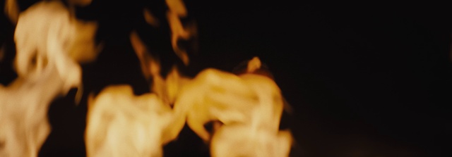 Video Reference N9: Gesture, Wood, Flame, Heat, Event, Darkness, Fire, Art, Fur