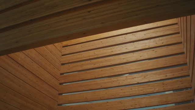 Video Reference N1: Brown, Wood, Wood stain, Composite material, Tints and shades, Plank, Hardwood, Lumber, Pattern, Ceiling