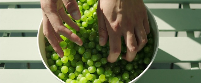Video Reference N3: Food, Hand, Photograph, Green, Natural foods, Fruit, Finger, Gesture, Seedless fruit, Ingredient