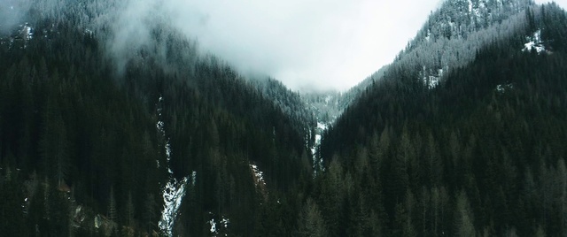 Video Reference N2: Cloud, Sky, Mountain, Plant, Fog, Natural landscape, Larch, Highland, Tree, Atmospheric phenomenon