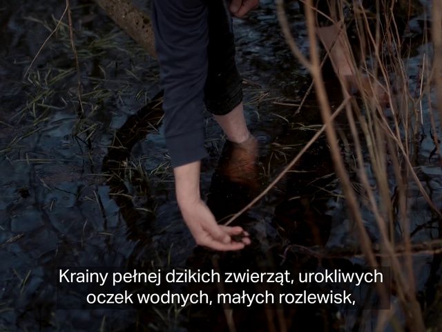 Video Reference N9: People in nature, Leg, Wood, Branch, Organism, Gesture, Grass, Thigh, Terrestrial plant, Woody plant