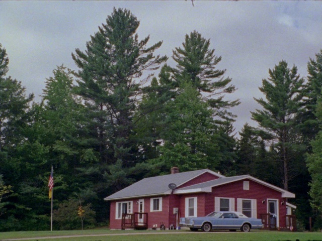 Video Reference N3: Plant, Sky, Building, Wheel, Window, Tree, Larch, House, Natural landscape, Vehicle