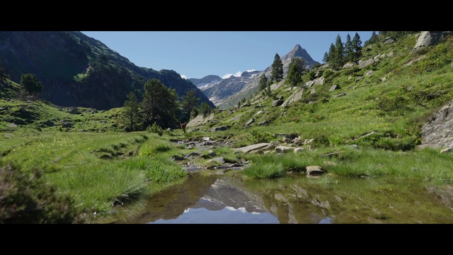 Video Reference N1: Water, Plant, Mountain, Sky, Natural landscape, Fluvial landforms of streams, Tree, Watercourse, Grass, Grassland