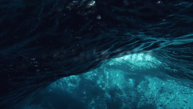 Video Reference N3: Water, Liquid, Underwater, Fluid, Marine biology, Formation, Sky, Electric blue, Wind wave, Marine mammal