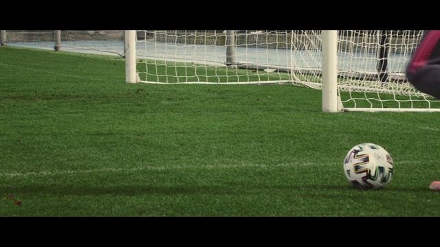 Video Reference N1: Plant, Sports equipment, Football, Soccer, Player, Fence, Ball, Football equipment, Ball game, Grass