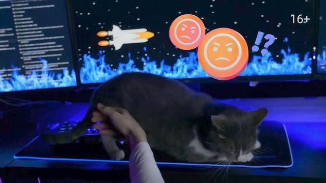 Video Reference N2: Cat, World, Felidae, Carnivore, Small to medium-sized cats, Electric blue, Space, Whiskers, Display device, Astronomical object