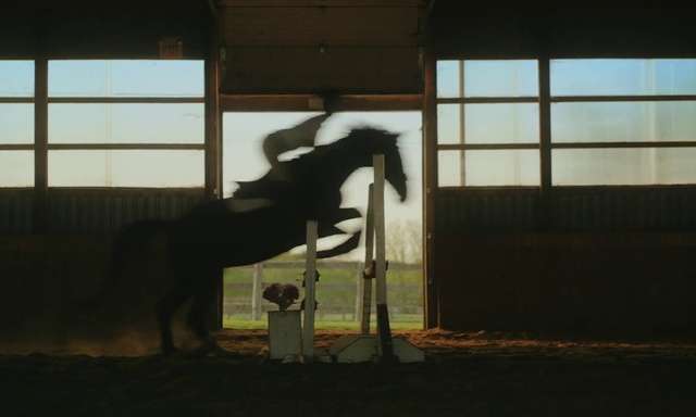 Video Reference N1: Horse, Window, Working animal, Wood, Horse supplies, Horse tack, Door, Tints and shades, Bridle, Art