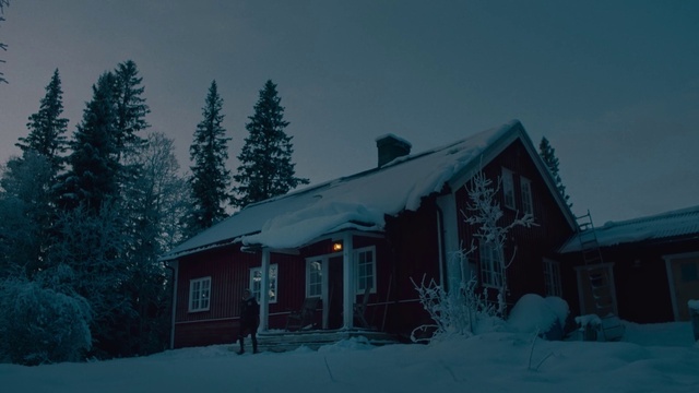 Video Reference N1: Sky, Window, Snow, Plant, Cottage, House, Tree, Freezing, Slope, Building