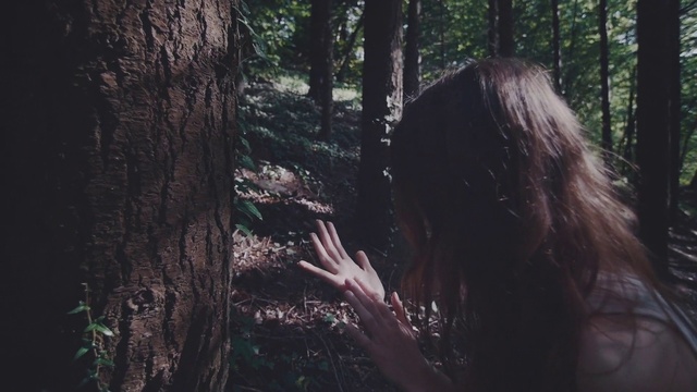 Video Reference N4: Hand, Plant, Tree, Wood, People in nature, Flash photography, Terrestrial plant, Gesture, Natural landscape, Trunk