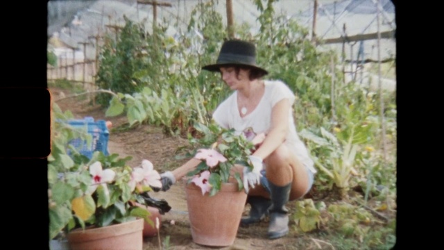 Video Reference N0: Plant, Flower, Flowerpot, Houseplant, Hat, Fedora, Smile, Sun hat, Grass, Shrub