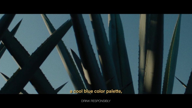 Video Reference N0: Plant, Terrestrial plant, Font, Wood, Tints and shades, Grass, Metal, Electric blue, Steel, Plant stem