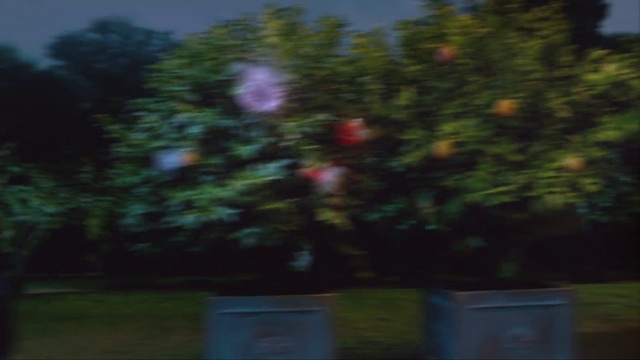 Video Reference N3: Plant, Grass, Sky, Evergreen, Landscape, Tints and shades, Cemetery, Automotive lighting, Tree, Shrub