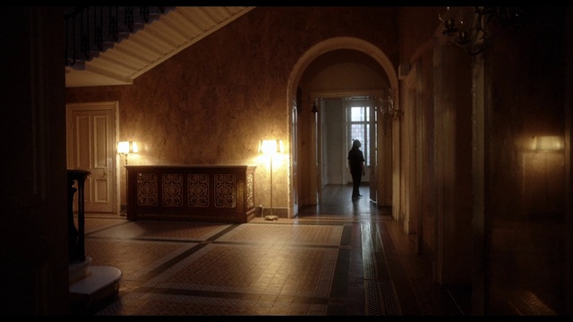 Video Reference N0: Wood, Floor, Building, Hall, Tints and shades, Door, Symmetry, Flooring, Darkness, Arch