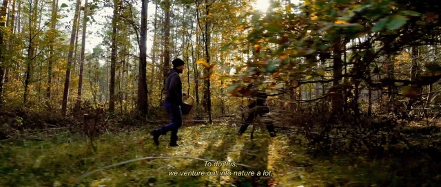 Video Reference N4: Plant, People in nature, Natural landscape, Tree, Wood, Trunk, Deciduous, Grass, Landscape, Forest