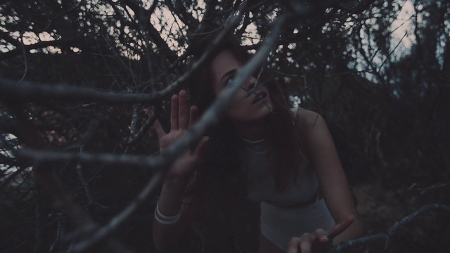 Video Reference N8: Flash photography, Human body, Plant, Wood, Twig, Tree, Grass, Black hair, People in nature, Forest