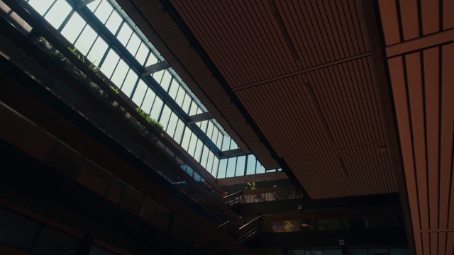 Video Reference N1: Field house, Wood, Shade, Fixture, Beam, City, Roof, Window, Tints and shades, Symmetry