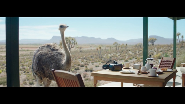 Video Reference N2: Sky, Table, Ratite, Furniture, Plant, Window, Emu, Ostrich, Beak, Mountain