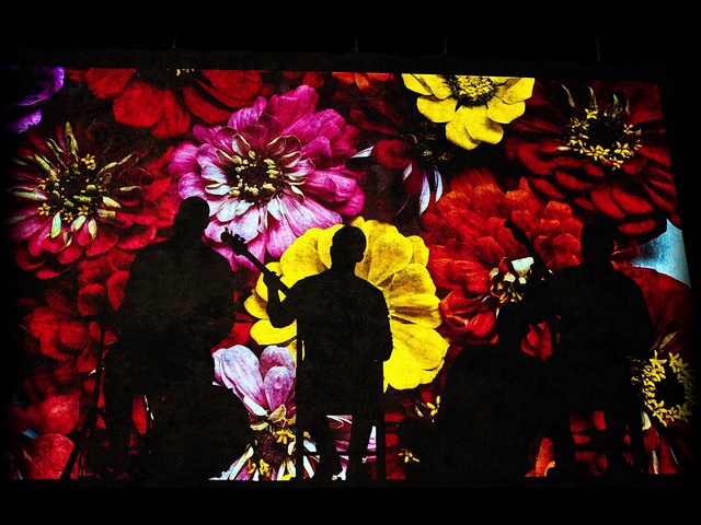 Video Reference N1: Rectangle, Flower, Art, Fixture, Creative arts, Font, Petal, Magenta, Tints and shades, Painting