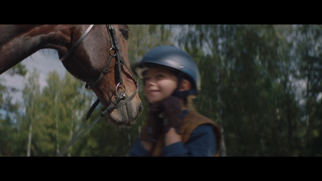 Video Reference N4: Helmet, Horse, Equestrian helmet, Natural environment, Flash photography, Bit, Working animal, Horse supplies, Horse tack, Outdoor recreation