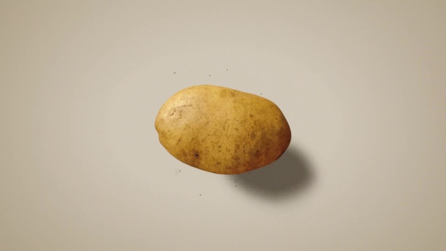 Video Reference N0: Fruit, Plant, Natural foods, Rock, Metal, Potato, Still life photography, Produce, Wood, Font