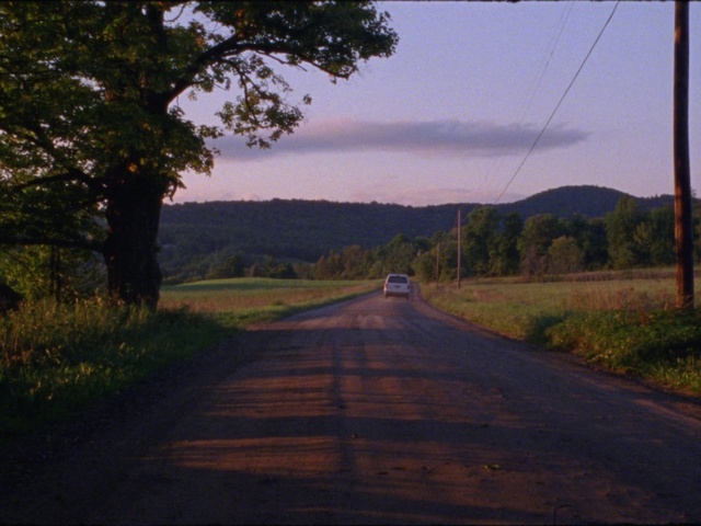 Video Reference N4: Cloud, Plant, Sky, Natural landscape, Road surface, Asphalt, Tree, Land lot, Wood, Thoroughfare