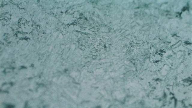 Video Reference N3: Azure, Aqua, Water, Freezing, Pattern, Electric blue, Grass, Frost, Snow, Winter